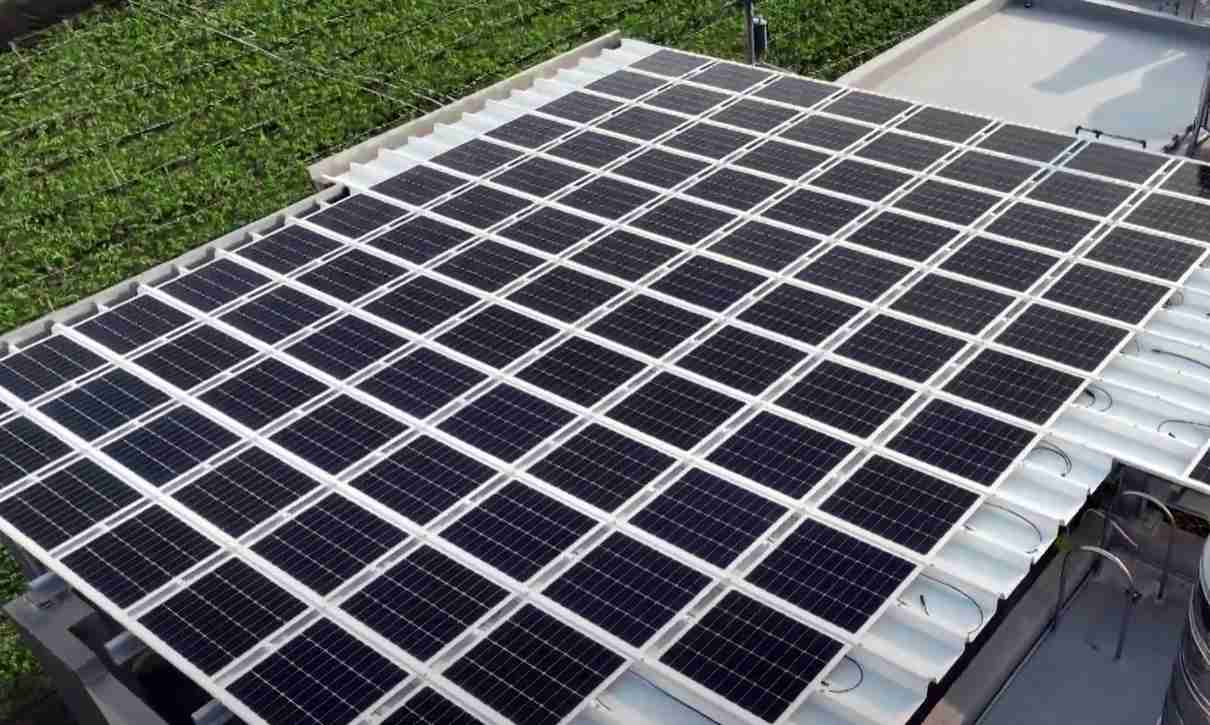 欧陆注册SunSteel光电浪板升级双玻结构，，以提升机械负载强度及气候耐候度，，，，可广泛运用于多元场域